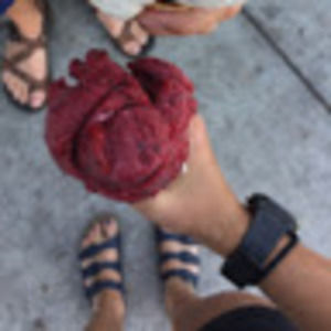 Meet your Posher, Reagan